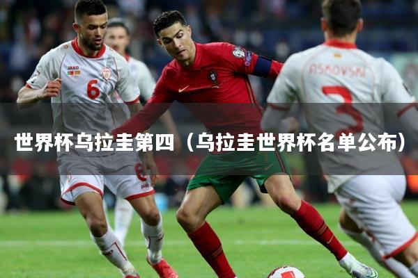 世界杯乌拉圭第四（乌拉圭世界杯名单公布）