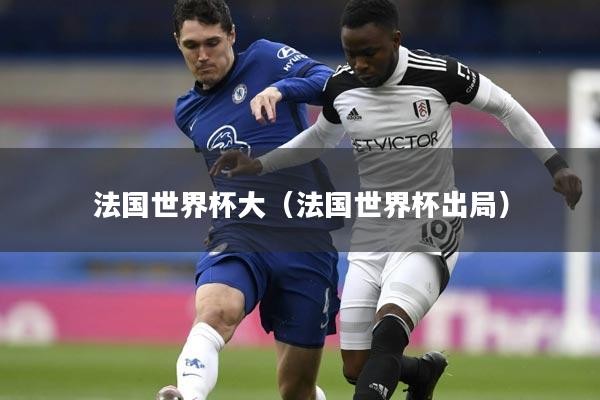 法国世界杯大（法国世界杯出局）