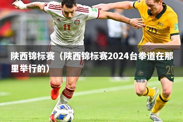 陕西锦标赛(陕西锦标赛2024台拳道在那里举行的)