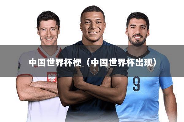 中国世界杯梗(中国世界杯出现)