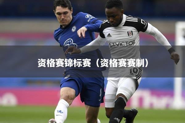 资格赛锦标赛(资格赛赛制)