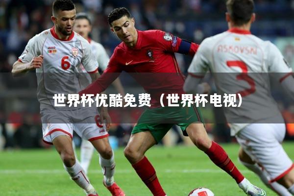 世界杯优酷免费(世界杯电视)