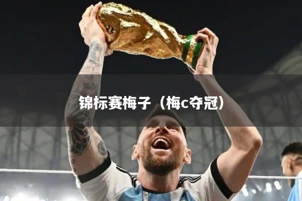 锦标赛梅子(梅c夺冠)