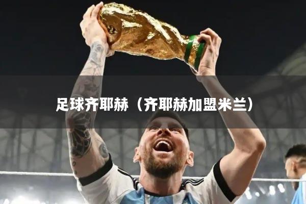 足球齐耶赫(齐耶赫加盟米兰)