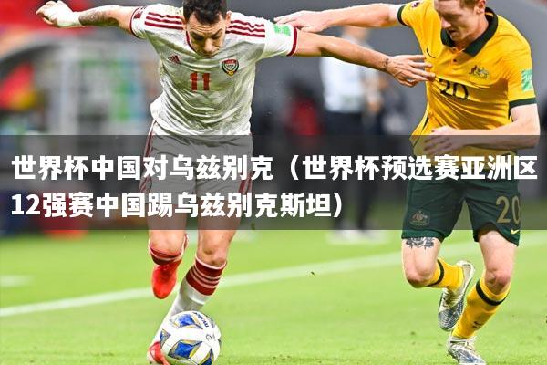 世界杯中国对乌兹别克(世界杯预选赛亚洲区12强赛中国踢乌兹别克斯坦)
