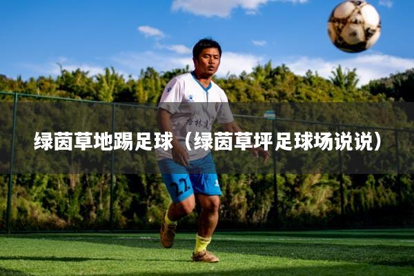 绿茵草地踢足球（绿茵草坪足球场说说）