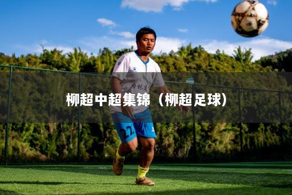 柳超中超集锦(柳超足球)