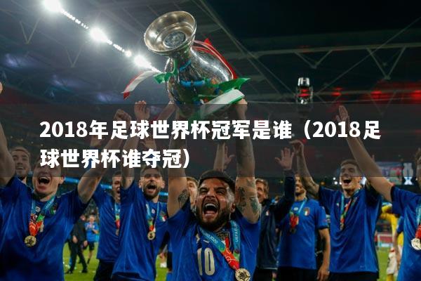 2018年足球世界杯冠军是谁(2018足球世界杯谁夺冠)