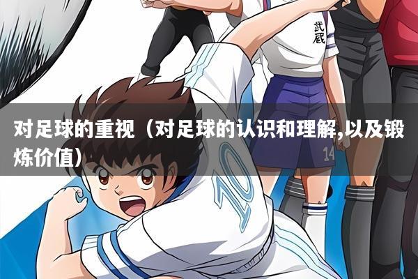 对足球的重视(对足球的认识和理解,以及锻炼价值)