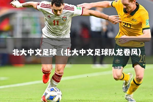 北大中文足球(北大中文足球队龙卷风)